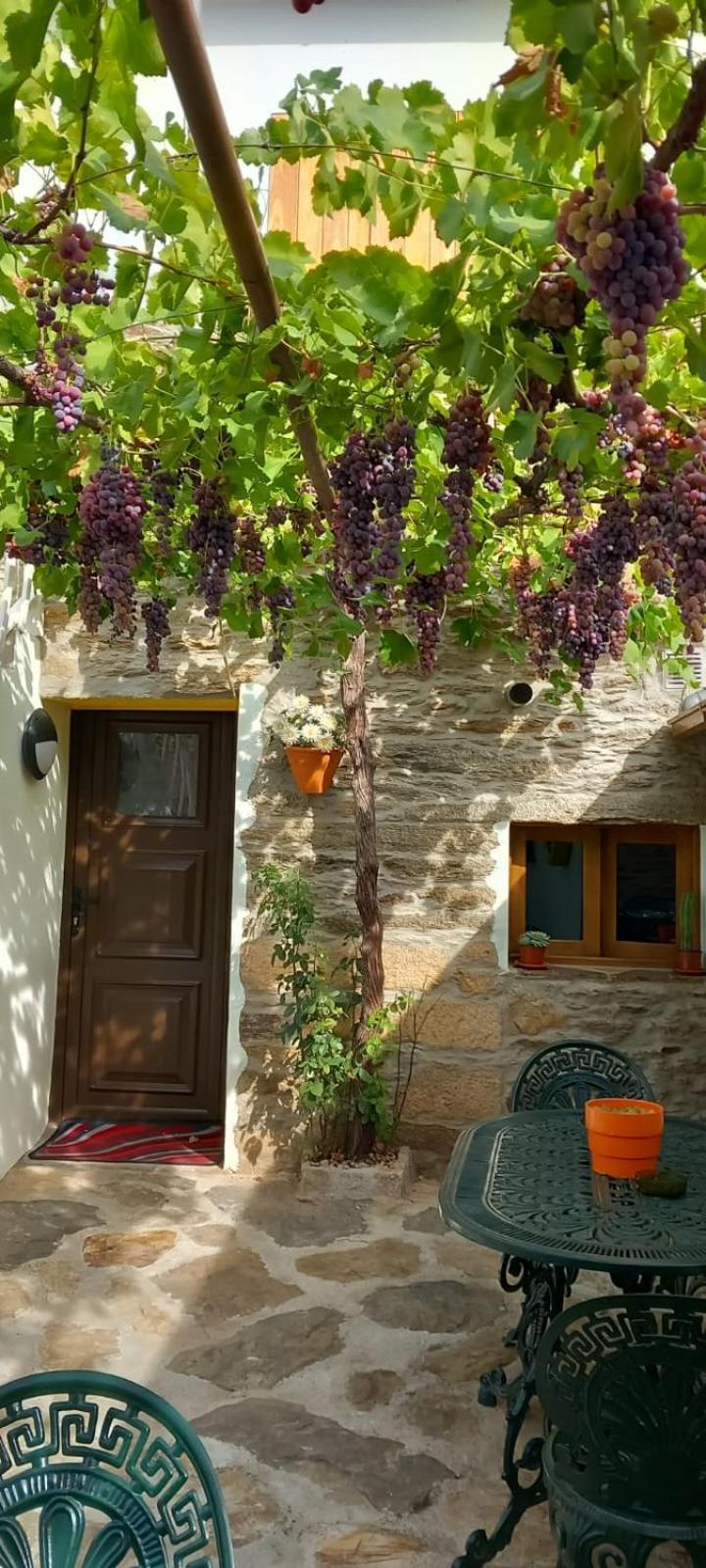 Apartamento Casa Adalcina  Mirandela Exterior foto
